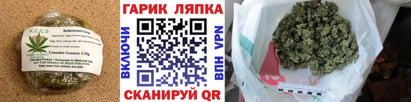 Cannafood марихуана  ОМГ ОМГ маркетплейс  Светлоград 