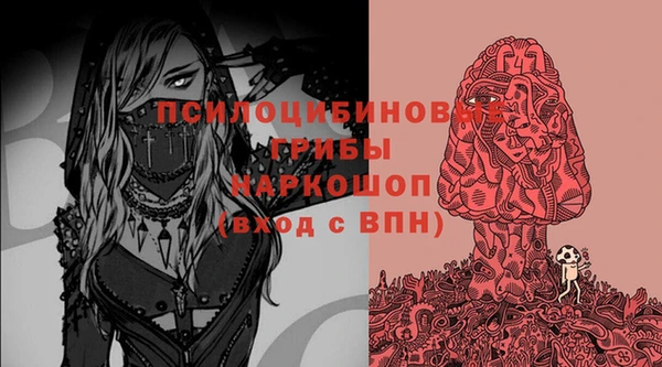 гашик Аркадак