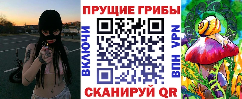 купить  цена  Светлоград  Галлюциногенные грибы мухоморы 