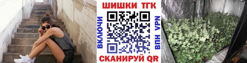 Бошки Шишки LSD WEED  darknet телеграм  Светлоград 